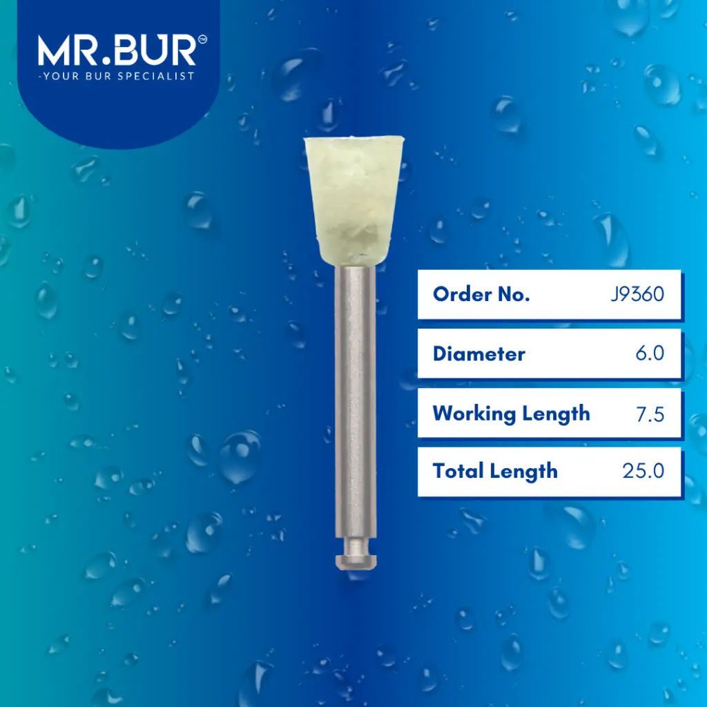 Orthodontic-Series-Bonding-Cement-Removal-J9360.webp