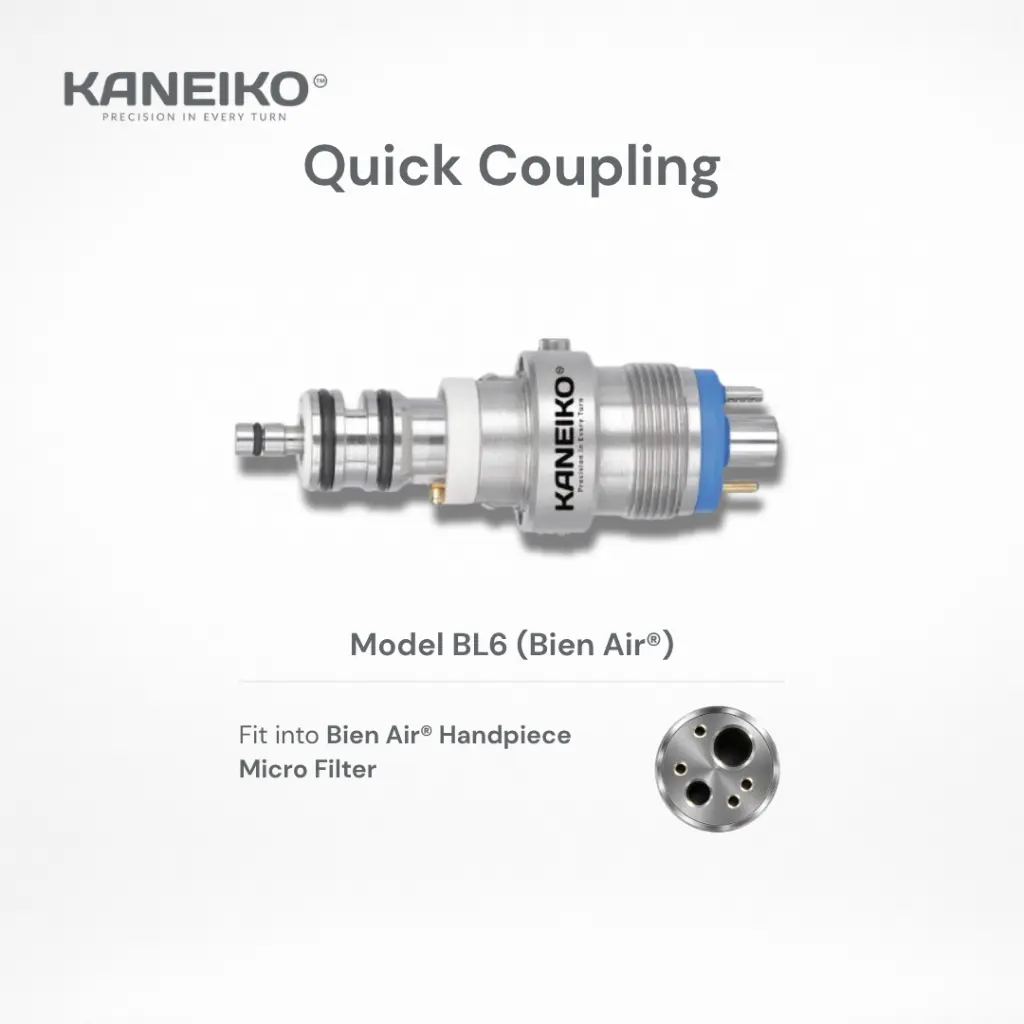 Kaneiko Model BL6 info details.webp